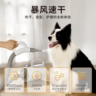 小红栗宠物智能吹水机宠物吹风机大型犬狗狗I吹毛吹干金毛2000wPR