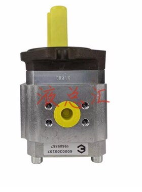 德国艾可勒ECKERLE齿轮泵EwIPS2-016RA04-1X注塑机伺服油泵