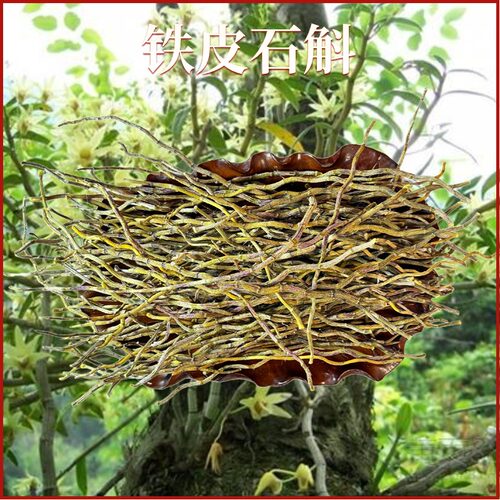 铁皮石斛干条云南龙陵林下种植