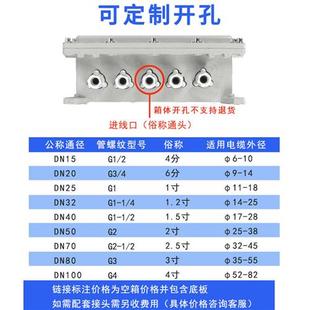 300空箱500 防爆箱400 400仪表电力检修控制柜照明动力配电接线箱