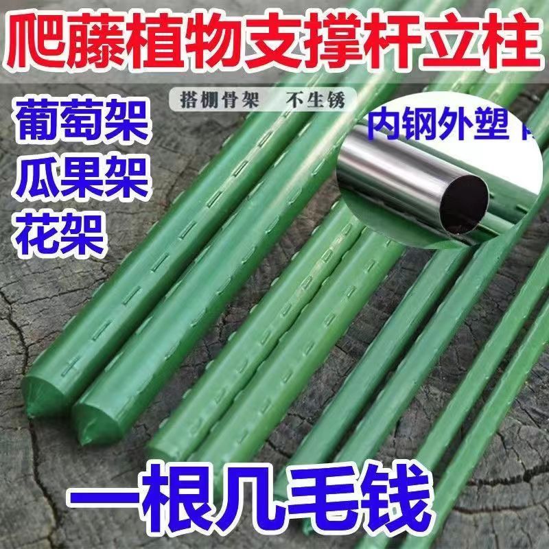 包塑钢管庭院葡萄架豆角四季支架杆植物爬藤架果树黄瓜家用多层