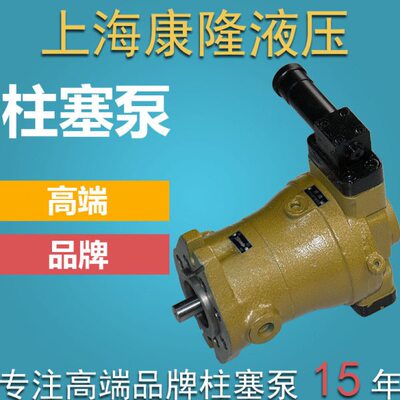 34081632川//PC6/启东海销轴向柱塞泵///162500-/1014/1/25DY1000