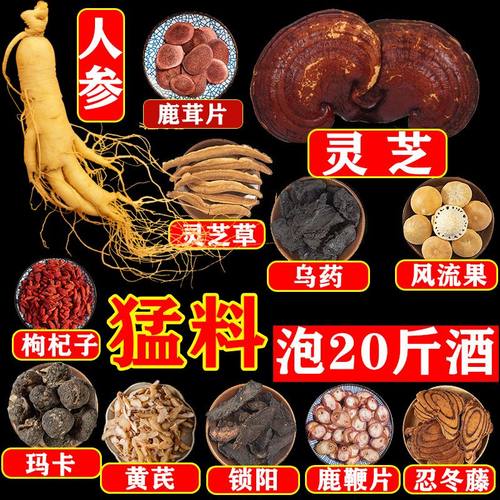 泡酒的药材配方男性持久十全大补腰酸背痛祛湿泡酒料滋补养生