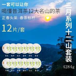 福元 357g 昌茶厂2024年三月春茶十二大茶山套装 春茶上新