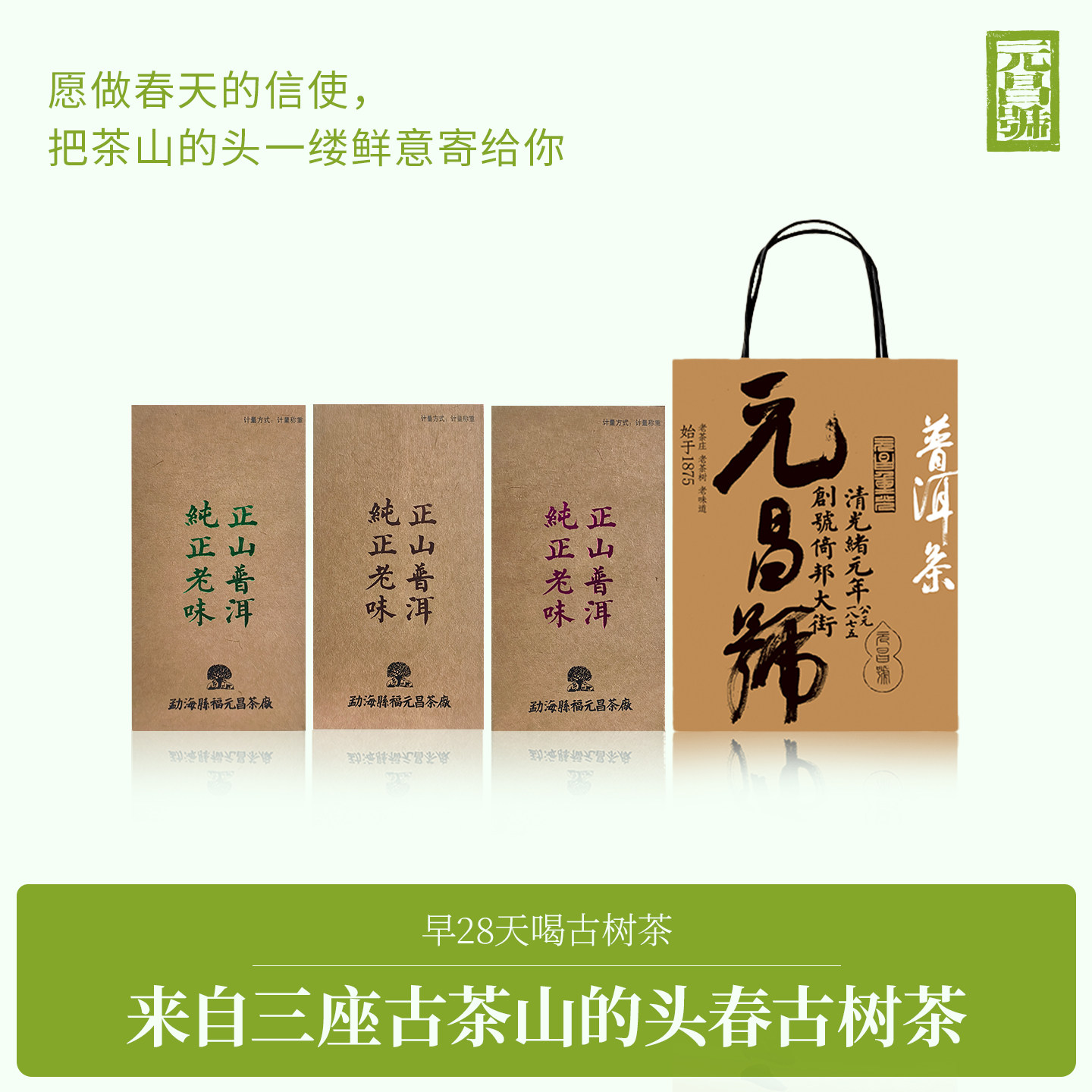 2026年古树头春散茶普洱茶图片