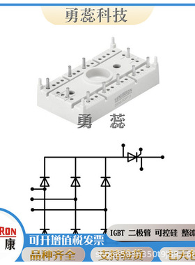 晶闸管   SKT491/18E    SKT493/04E    SKT493/08E