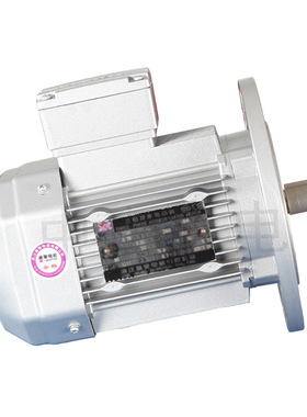 黄岩电机 2.2KW 铁壳电机 YE2-132S-8 广东东莞电机 三相电机