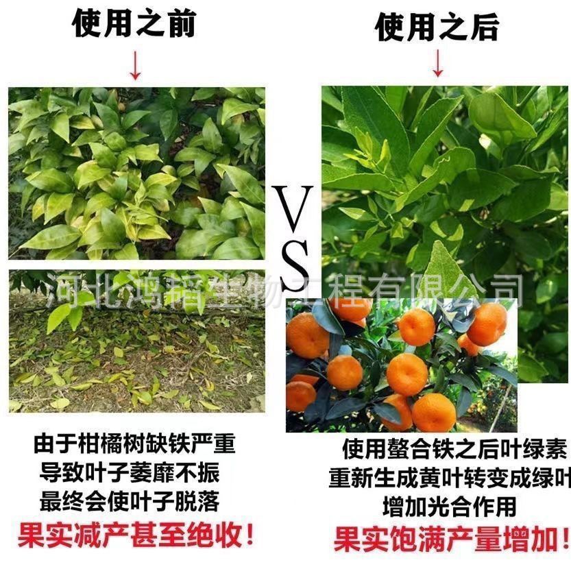 螯合铁6 EDDHA-Fe-6% 叶面喷施滴灌专用铁元素肥 螯合铁肥