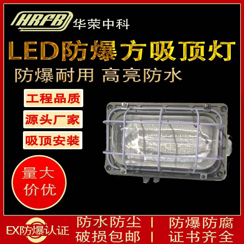 直销防爆壁LED灯吸顶30W带网防水防潮方形防潮壁灯吸顶安装