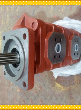 CBGj2063/2032双联齿轮泵 CBGj2050/2040液压泵