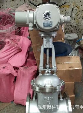 Z941W-16P/Z941H-25P Z941H-40P 不锈钢电动闸阀 智能型电动闸阀