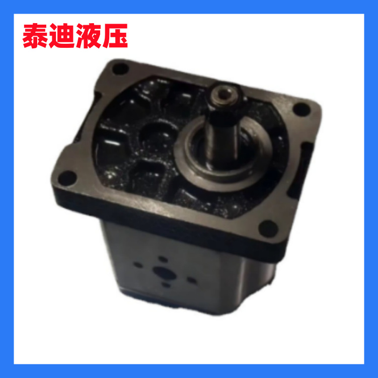 MARZOCCHI马祖奇齿轮泵 ALP2A-D-12-FG液压泵