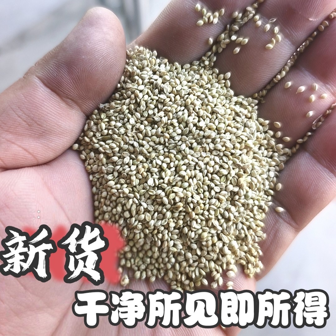 秕谷枕头谷秕儿童成人枕填充物瘪谷子新秕谷谷秕子枕头枕芯填充物