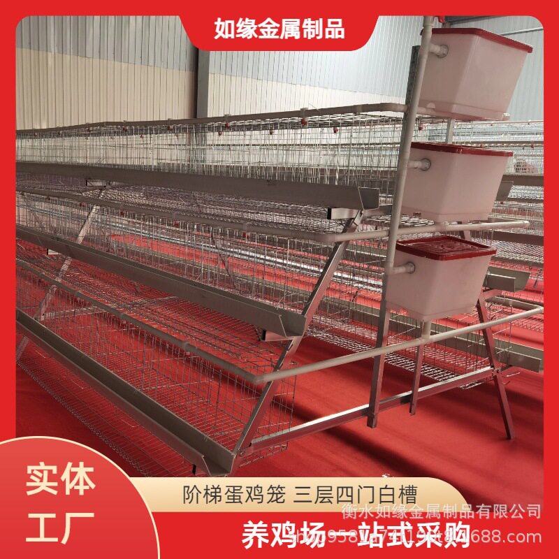 三层四门白槽蛋鸡笼自动饮水适配阶梯结构节约用地养殖设备鸡笼子