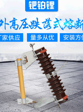 厂家供应 户外高压跌落式熔断器RW7-10-100A陶瓷材质支柱绝缘子