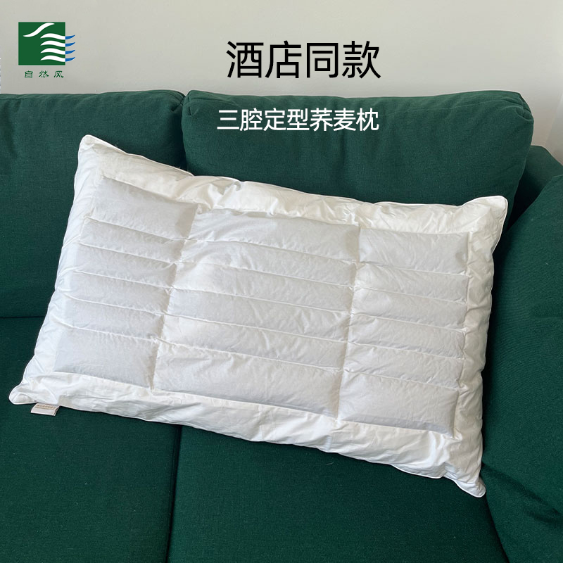 自然风纺织酒店专用三腔荞麦枕头枕芯50*80大号男全棉护颈椎双面