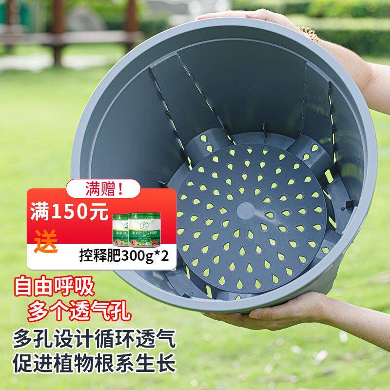 大号蓝莓专用花盆树脂加厚多孔阳台露台月季花卉控根种植盆