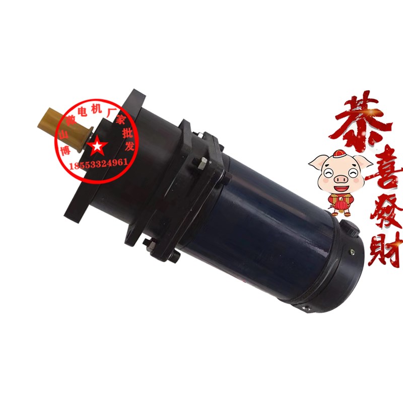 J70ZYT104PX144 永磁直流减速电机 2F1转100W 110V 博山微电机厂