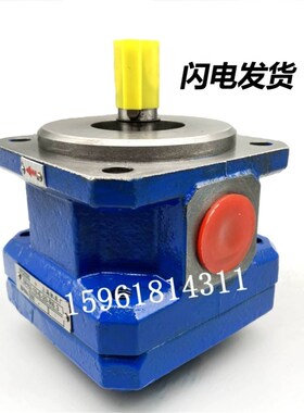 新款外圆磨床油泵包邮M1432B磨床M133z2BGPA2-16-E-20R MQ1350齿