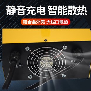 SMH175A 叉车配件得龙加液充电机 30MA 48V 原厂 220V