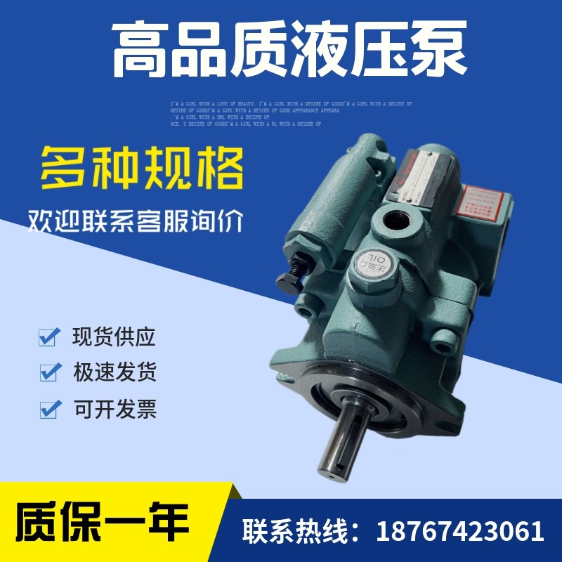 台湾柱塞泵 P2i2-A0/A1/A2/A3-F-R-01 液压油泵P22系列