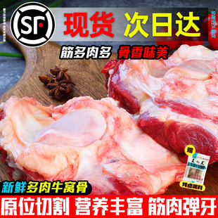 牛肉新鲜牛窝骨带肉红烧牛大骨头牛膝盖非内蒙古整箱冷冻牛肉商用