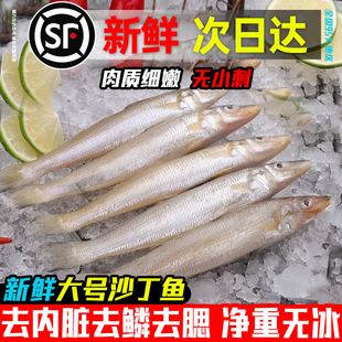 沙丁鱼新鲜冷冻海杂鱼大全炸鱼生野小鱼水产沙钻鱼沙尖去鳞去内脏