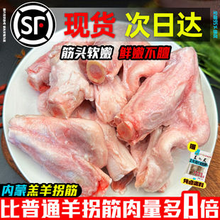 羊拐筋新鲜羔羊冷冻羊拐骨10斤半成品商用斤饭店食材烧烤