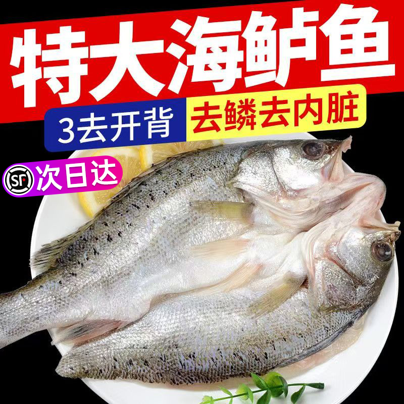 海鲈鱼开背新鲜冷冻鲜活深海鱼白