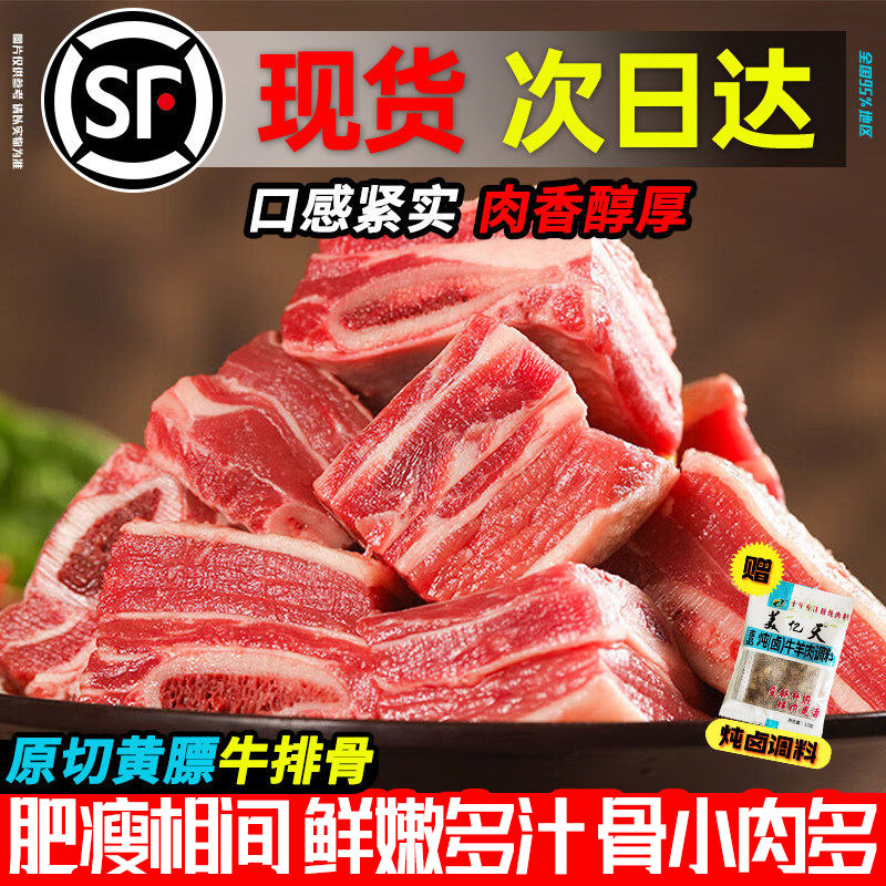 原切黄膘牛肋排骨牛肉新货鲜冻生鲜仔骨黄牛肉骨头冷冻品批发商用