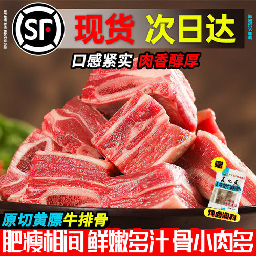 原切黄膘牛肋排骨牛肉新货鲜冻生鲜仔骨黄牛肉骨头冷冻品批发商用