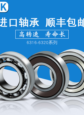 日本进口NK轴承6316 6317 6318 6319 6320 ZZCM DDU密封高速高温