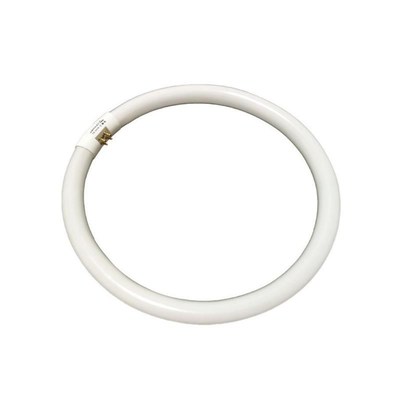 内墙涂料墙体防水墙面修补修y补膏粉墙翻刷白色腻子膏补墙膏防潮