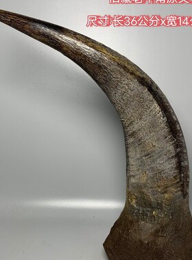 古玩旧藏骨制品牛k角尖古董老货风化老牛角骨雕工艺品收藏摆件送