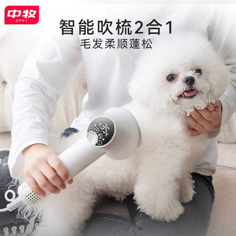 宠物智能吹风机狗狗吹毛拉毛一体猫咪梳毛速干中小型犬洗澡吹水机