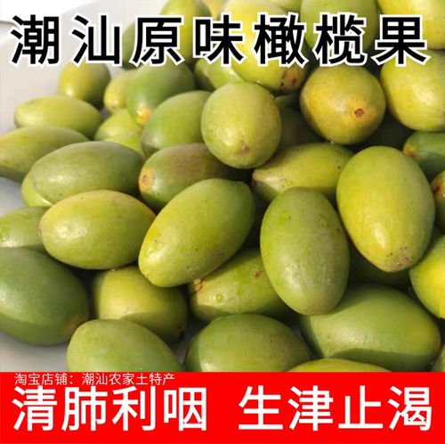 新鲜橄榄酸涩润肺现摘青橄榄新鲜生橄榄果 适用煲汤泡酒腌制 包邮