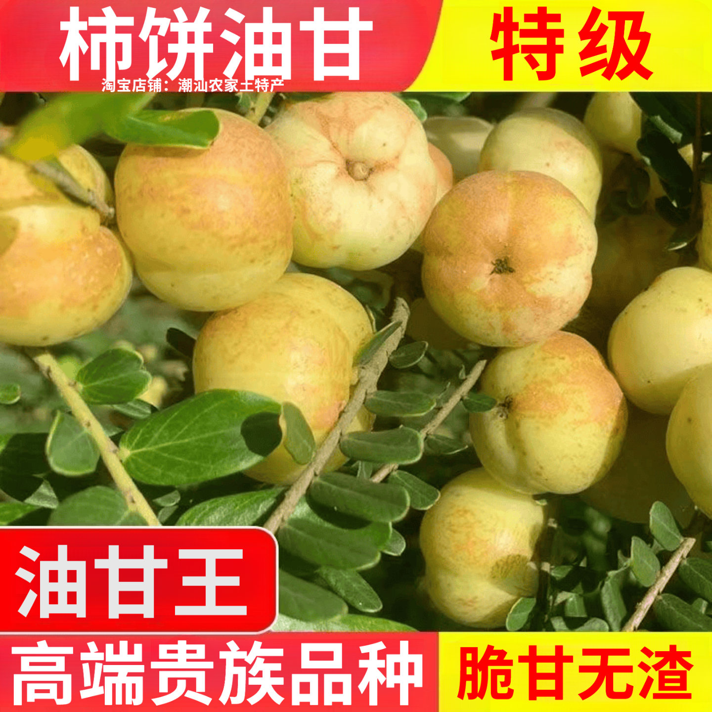 【精选大果】油柑柿饼油甘丙甜油甘饼甜油甘生吃回味甘甜油甘果