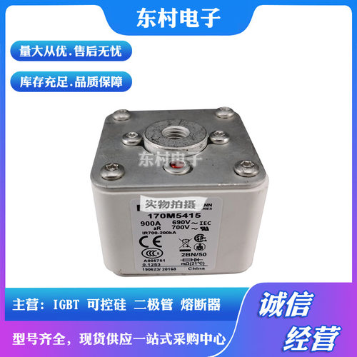 熔断器全新170M5494 170M5495 170M5496 170M5497 170M5498现货