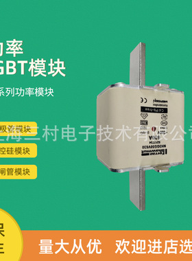全新熔断器保险丝NH0UD69V250PV A320275 NH0UD69V315PV E320279