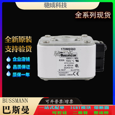 巴斯曼170M6519 170M6520 170M6521 长期批发销售价优 伊顿熔断器