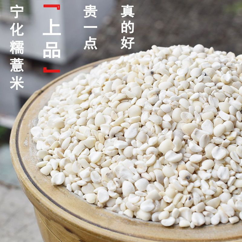 2025福建客家宁化糯薏米仁新货薏苡仁新鲜小粒薏仁米不抛光不打蜡