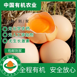 有机富硒鸡蛋30枚有机认证粉壳绿壳鲜鸡蛋现拣现发健康美味营养