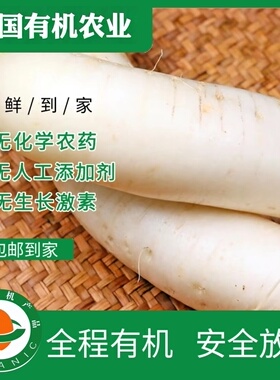 有机白萝卜5斤有机认证无农残新鲜健康天然萝卜汁水丰富炖汤煲汤