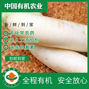 有机白萝卜5斤有机认证无农残新鲜健康天然萝卜汁水丰富炖汤煲汤