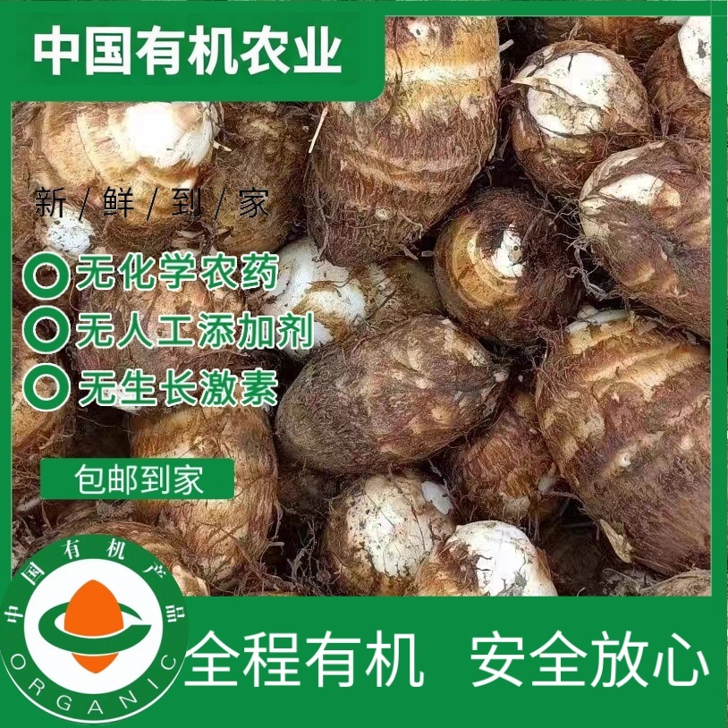 山东有机牛奶小芋头5斤有机认证无农残奶芋香芋现摘现发软糯辅食