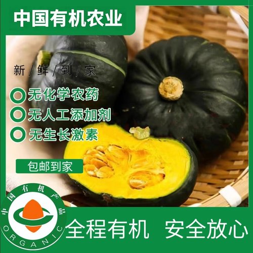 宝宝辅食老少皆宜新鲜现摘小南瓜