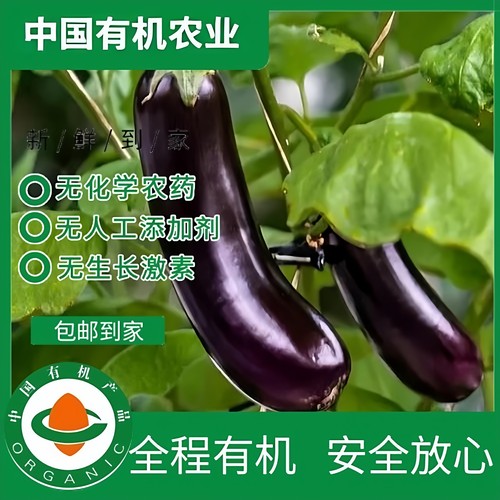 有机茄子紫长茄5斤装有机认证新鲜天然健康美味蔬菜辅食炒菜