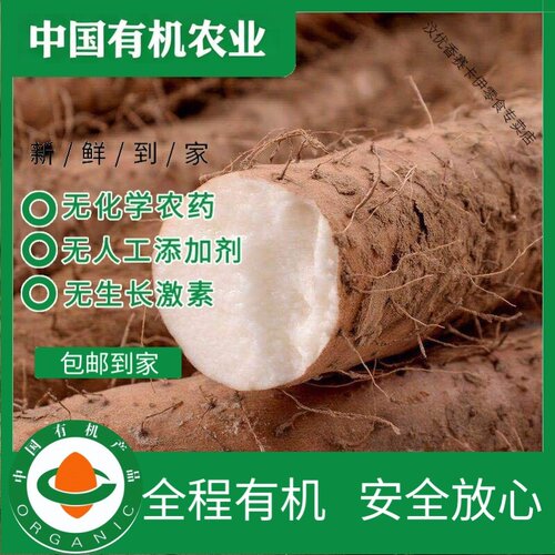 有机铁棍山药3斤有机认证无农残