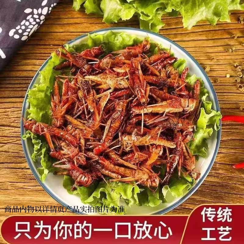 新鲜油炸蚂蚱五香即食香辣蚱蜢x