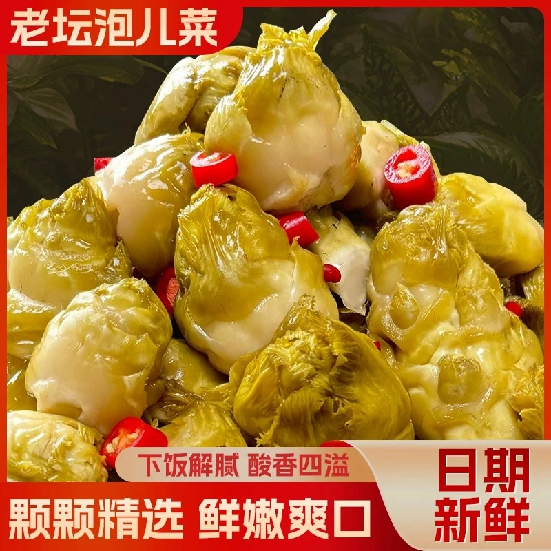 【酸爽脆嫩】四川老坛泡儿菜 新鲜泡制即食炒菜下饭吃法多样